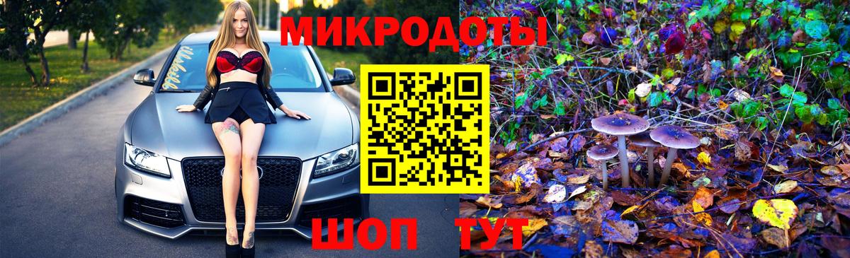 Галлюциногенные грибы Cubensis  Вход с VPN  Майкоп  Псилоцибиновые грибы мицелий 